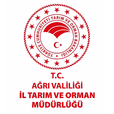 Çelik Ağ,Çelik Ağ Mesh,Mesh Çelik,Meshçelik,Çelikmesh